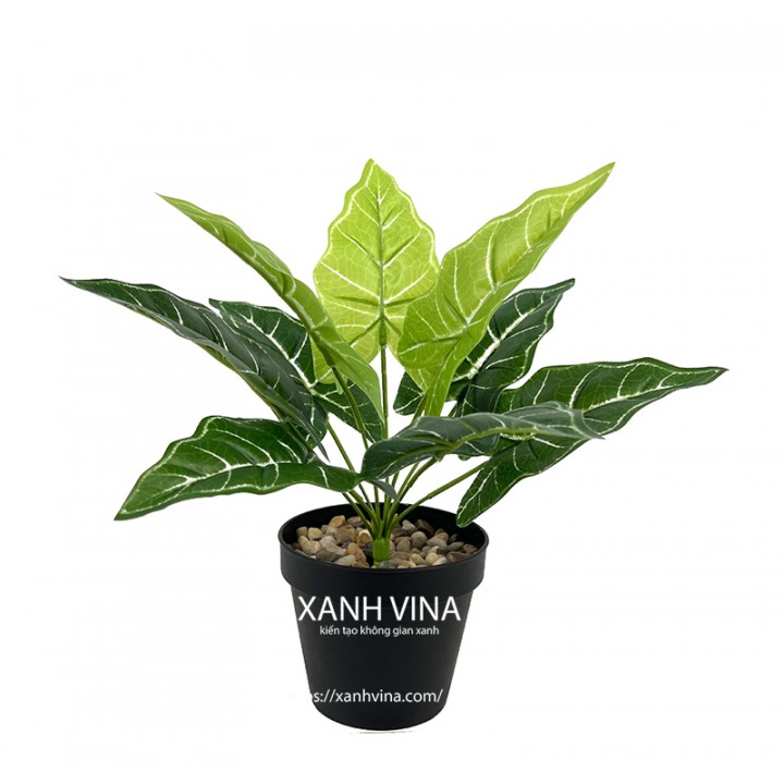 Cây giả để bàn cao 35cm _  lá khoai